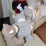 Making of Pauli & Friends (3)
