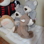 Making of Pauli & Friends (5)