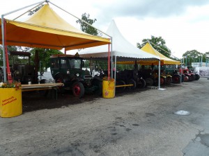 Bulldogausstellung 2014 (2)