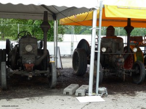 Bulldogausstellung 2014 (3)