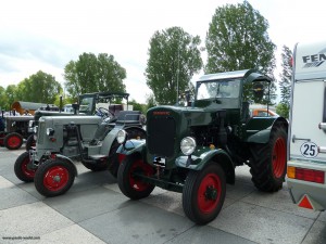 Bulldogausstellung 2014 (5)