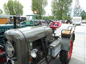Bulldogausstellung 2014 (6)
