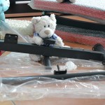 Pauli's Bauchtrainer (6)-5