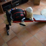 Pauli's Bauchtrainer (9)-k