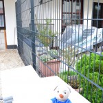 Pauli's Terrasse Tag 2 (3)k
