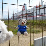 MS Deutschland - das Traumschiff (1)