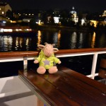Lichterfahrt Moldau Prag (10)