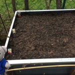 Paulis Hochbeet bepflanzen (1)