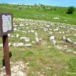 Labyrinth (31)