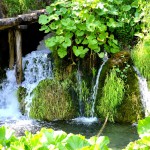 Plitvicer Seen (121)