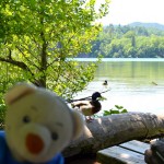 Plitvicer Seen (162)