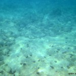Unterwasserboot (159)
