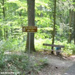 Historischer Friedhof