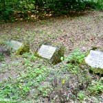 historischer Friedhof 2