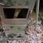Hexenhäuschen (3)