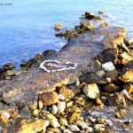 Pauli In Kroatien