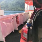 Bucht von Kotor