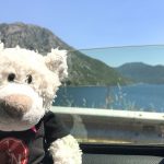 Kotor